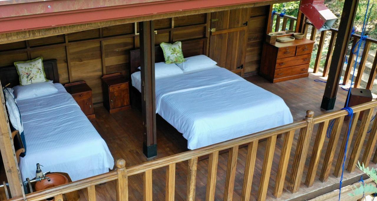 Wanakaset Forest Retreat Kitulgala Exterior foto